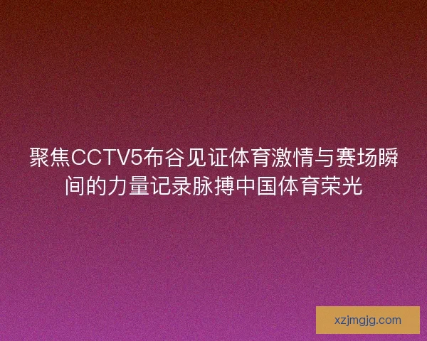 聚焦CCTV5布谷见证体育激情与赛场瞬间的力量记录脉搏中国体育荣光