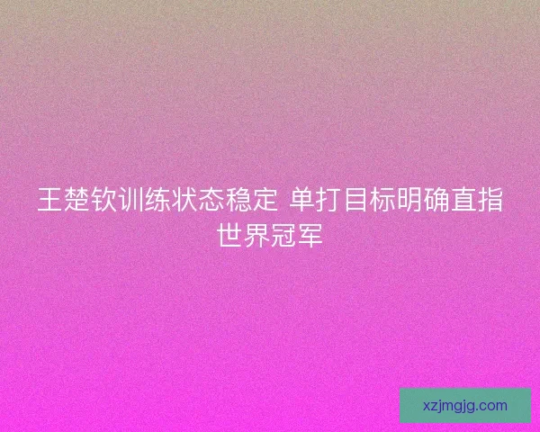 王楚钦训练状态稳定 单打目标明确直指世界冠军
